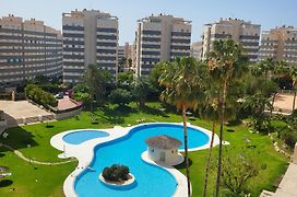 Jardin del Mar Playa Muchavista - El Campello - Alicante