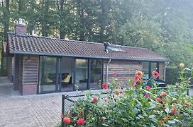 vakantiehuis en appartement De Harscamp