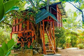 Sigiri Sky Home & Treehouse