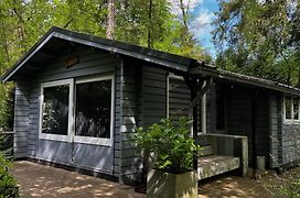 Dreamwoodz - een droomchalet op de Veluwe