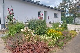 B&B Manderscheid-Blick