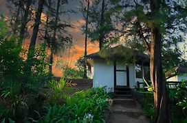 Exotica Beach Cottages