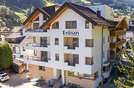 Hotel Enzian Paznaun