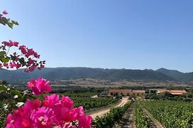 Agriturismo Campesi Casale Tra Le Vigne