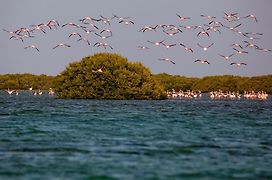 Flamingo Beach Hotel