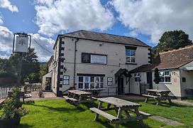 The Yew Tree At Longhope