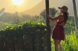 The Valley Tayrona Hostel- A Unique Social Jungle Hostel