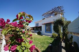 Santerra, Valle De Guadalupe