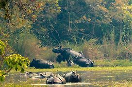 Chitwan Gaida Lodge - Animal Lovers & Birdwatchers Paradise