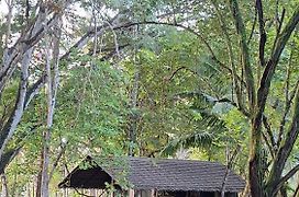 Four Monkeys Eco Lodge - Jungle & Beach