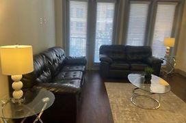 Resort Style Apt/Home In Houston Medical Centre