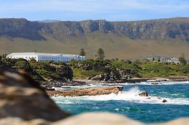 The Marine Hermanus