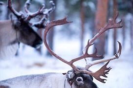 Reindeer Lodge