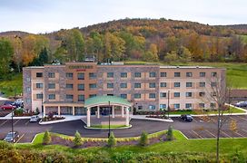 Courtyard By Marriott Oneonta