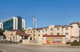 Comfort Suites Downtown