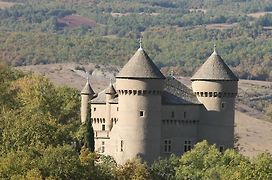 Chateau De Lugagnac Riviere-sur-Tarn Exterior photo
