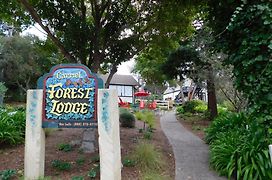 Forest Lodge