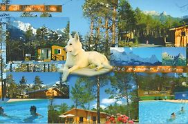 Parc Résidentiel de Loisir : Le Loup Blanc du Riou