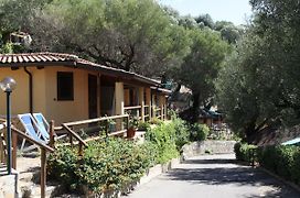 Resort Baia del Silenzio Pisciotta Exterior photo