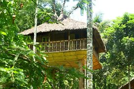 Kalidasa Tree House And Villa, Wayanad Chegat Exterior photo
