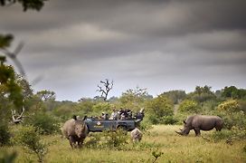 Motswari Private Game Reserve By Newmark