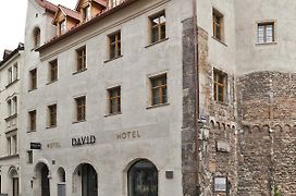 Hotel David An Der Donau
