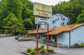 Smoketree Lodge, A Vri Resort Banner Elk Exterior photo