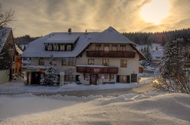 Landhotel Und Apartments Sonneck