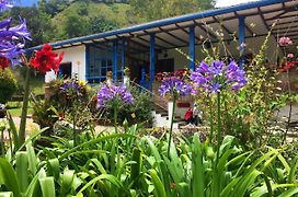 Reserva Guadalajara - Cocora Valley