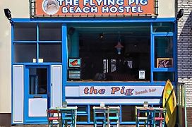 The Flying Pig Beach Hostel, Ages 18 - 40