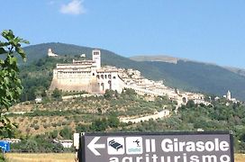 Agriturismo Il Girasole Assisi