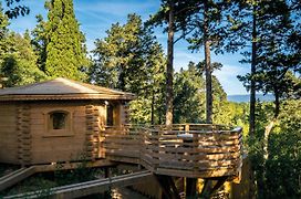 Les Cabanes Dans Les Bois Logis Hotel