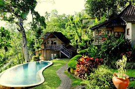 Prashanti Bali