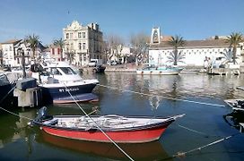 Les cigales de mer