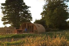 Brynllwyd Glamping