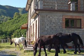 Agriturismo Il Capitano