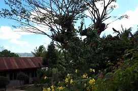 Villa Del Carmen Haven Bohol