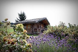 Hôtel Le Manoir des Montagnes