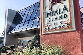 Impala Island Inn