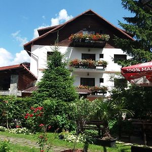 Pensiunea Liziera Hotel Busteni Exterior photo