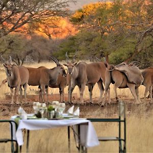 Ohange Namibia Lodge Otavi Exterior photo