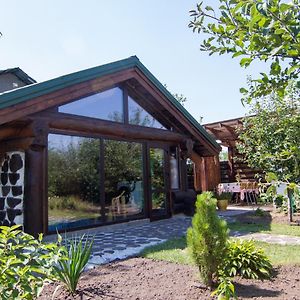 Дом с сауной и басейном на Теремках Гатне Exterior photo