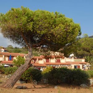 Motel Logis D'Abartello Olmeto (Corsica) Exterior photo