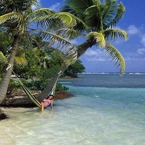 Axios Sun Apartments Caye Caulker Exterior photo