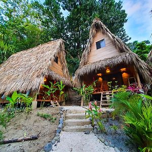 Buena Onda Bungalows Playa Santa Teresa  Exterior photo