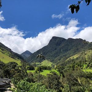 Cabanas Valle Del Cocora La Truchera Salento Exterior photo