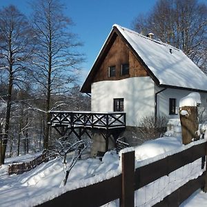 Villa Trzy Strumyki Kąty Bystrzyckie Exterior photo