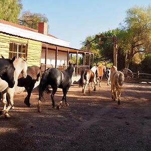 Lodge Atacama Horse San Pedro de Atacama Exterior photo
