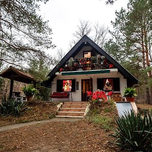 Ladybird Lodge Bela Crkva  Exterior photo