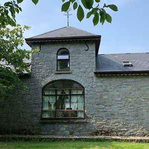 Cut Limestone Apartment Riverside Lodge Carlow Exterior photo